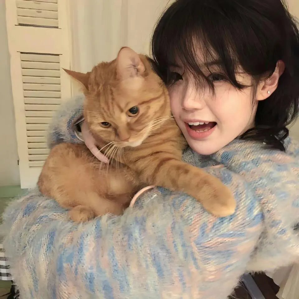 螳螂捕蝉，黄雀在后